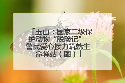 玉山：国家二级保护动物“脱险记” 警民爱心接力筑就生命驿站（图）
