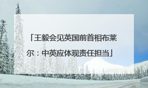 王毅会见英国前首相布莱尔：中英应体现责任担当