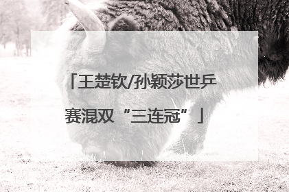 王楚钦/孙颖莎世乒赛混双“三连冠”