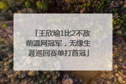 王欣瑜1比2不敌前温网冠军，无缘生涯巡回赛单打首冠