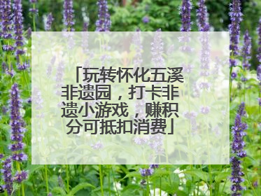 玩转怀化五溪非遗园，打卡非遗小游戏，赚积分可抵扣消费