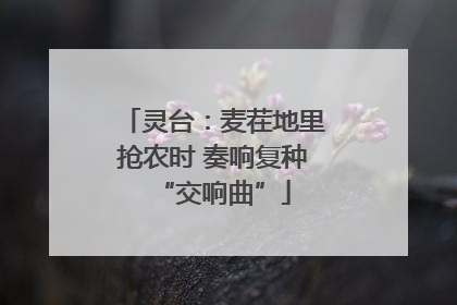 灵台：麦茬地里抢农时 奏响复种“交响曲”