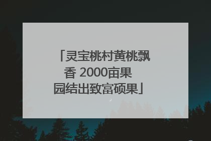 灵宝桃村黄桃飘香 2000亩果园结出致富硕果