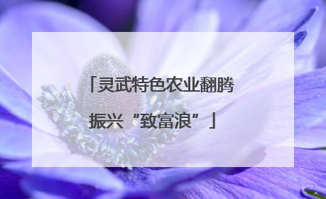 灵武特色农业翻腾振兴“致富浪”