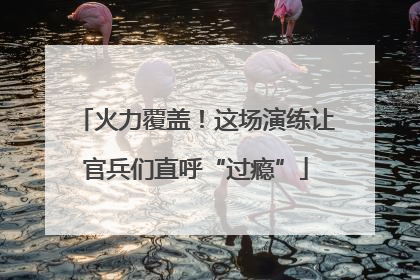 火力覆盖！这场演练让官兵们直呼“过瘾”