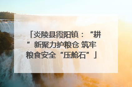 炎陵县霞阳镇：“耕”新聚力护粮仓 筑牢粮食安全“压舱石”