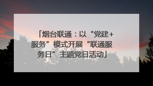 烟台联通：以“党建+服务”模式开展“联通服务日”主题党日活动