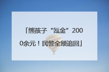 熊孩子“氪金”2000余元！民警全额追回