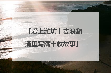 爱上潍坊丨麦浪翻涌里写满丰收故事