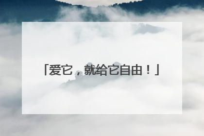 爱它，就给它自由！