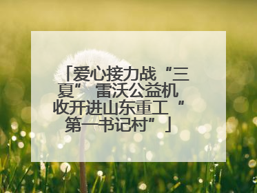 爱心接力战“三夏” 雷沃公益机收开进山东重工“第一书记村”