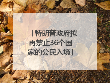 特朗普政府拟再禁止36个国家的公民入境