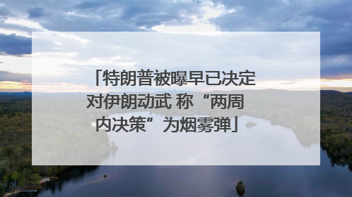 特朗普被曝早已决定对伊朗动武 称“两周内决策”为烟雾弹