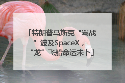 特朗普马斯克“骂战”波及SpaceX，“龙”飞船命运未卜