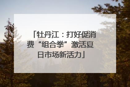 牡丹江：打好促消费“组合拳”激活夏日市场新活力