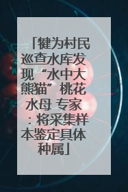 犍为村民巡查水库发现“水中大熊猫”桃花水母 专家：将采集样本鉴定具体种属