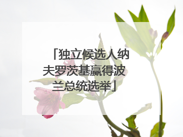独立候选人纳夫罗茨基赢得波兰总统选举
