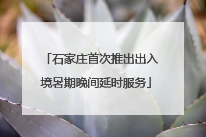 石家庄首次推出出入境暑期晚间延时服务