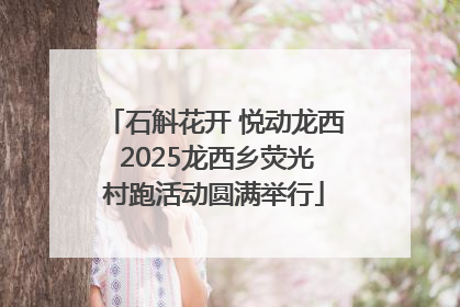 石斛花开 悦动龙西 2025龙西乡荧光村跑活动圆满举行