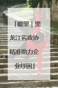 瞭望｜黑龙江省政协精准助力企业纾困