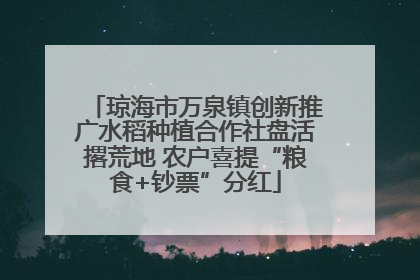 琼海市万泉镇创新推广水稻种植合作社盘活撂荒地 农户喜提“粮食+钞票”分红