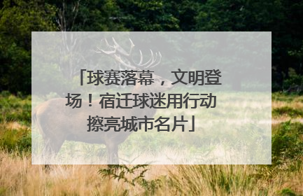 球赛落幕，文明登场！宿迁球迷用行动擦亮城市名片