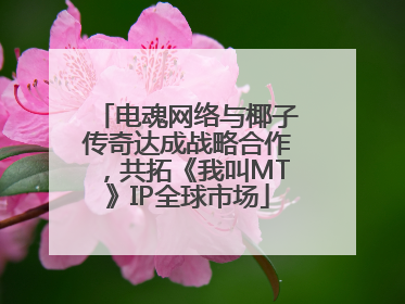 电魂网络与椰子传奇达成战略合作，共拓《我叫MT》IP全球市场