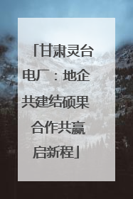 甘肃灵台电厂：地企共建结硕果 合作共赢启新程