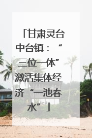 甘肃灵台中台镇：“三位一体”激活集体经济“一池春水”