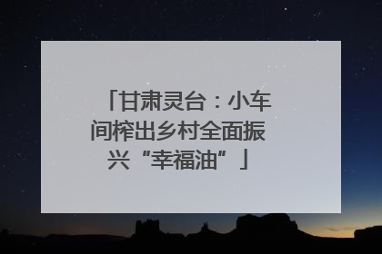 甘肃灵台：小车间榨出乡村全面振兴“幸福油”