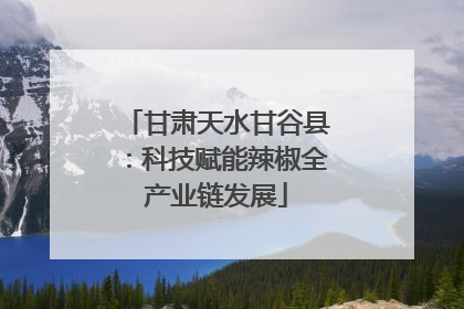 甘肃天水甘谷县：科技赋能辣椒全产业链发展