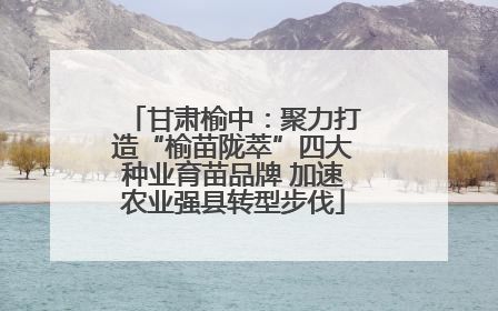 甘肃榆中：聚力打造“榆苗陇萃”四大种业育苗品牌 加速农业强县转型步伐