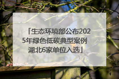 生态环境部公布2025年绿色低碳典型案例 湖北6家单位入选