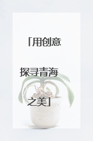 用创意探寻青海之美