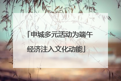 申城多元活动为端午经济注入文化动能