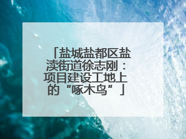 盐城盐都区盐渎街道徐志刚：项目建设工地上的“啄木鸟”