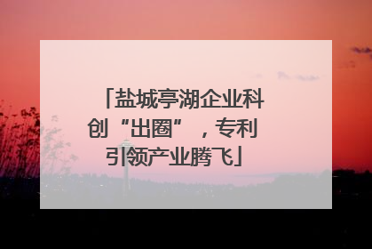 盐城亭湖企业科创“出圈”，专利引领产业腾飞