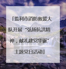 监利市消防救援大队开展“弘扬抗洪精神，献礼建党华诞”主题党日活动