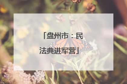 盘州市：民法典进军营