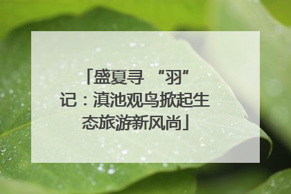 盛夏寻 “羽” 记：滇池观鸟掀起生态旅游新风尚