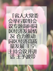 省人大常委会举行联组会议专题询问园区经济发展情况 合力推动园区经济高质量发展 王宁主持会议并讲话 王予波带队到会应询