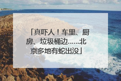 真吓人！车里、厨房、垃圾桶边……北京多地有蛇出没