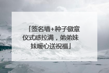 签名墙+种子徽章仪式感拉满，弟弟妹妹暖心送祝福