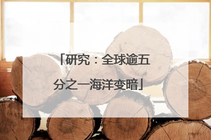 研究：全球逾五分之一海洋变暗