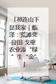 祁连山下是我家｜临泽：荒滩变良田 戈壁农业添“绿”生“金”