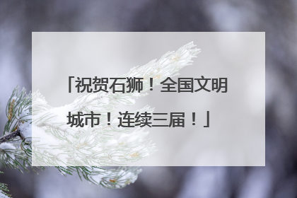 祝贺石狮！全国文明城市！连续三届！