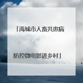 禹城市人畜共患病防控微电影进乡村