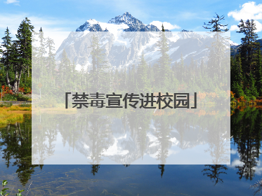 禁毒宣传进校园