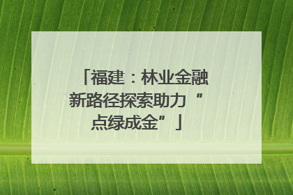 福建：林业金融新路径探索助力“点绿成金”