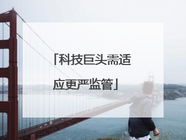 科技巨头需适应更严监管